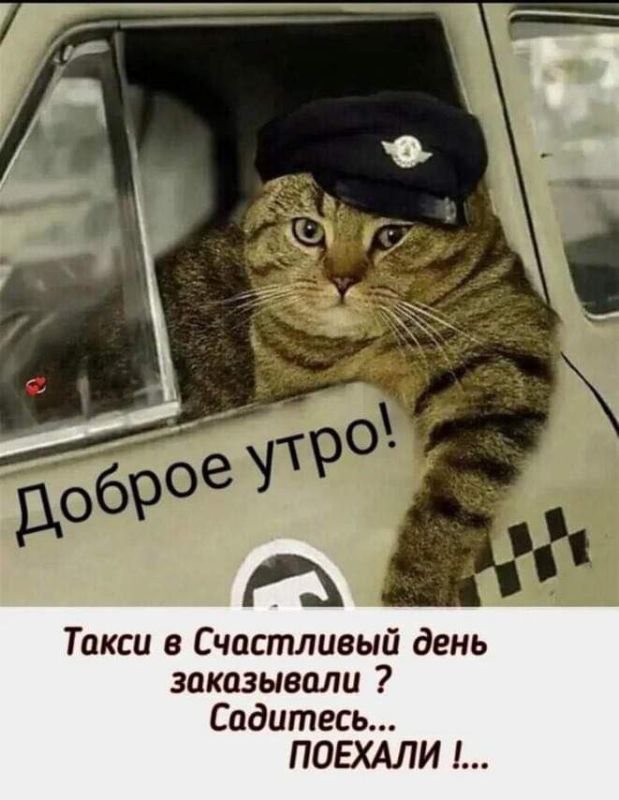 ���� ������� � ������, � ��� ����� ������! ����, ����������...