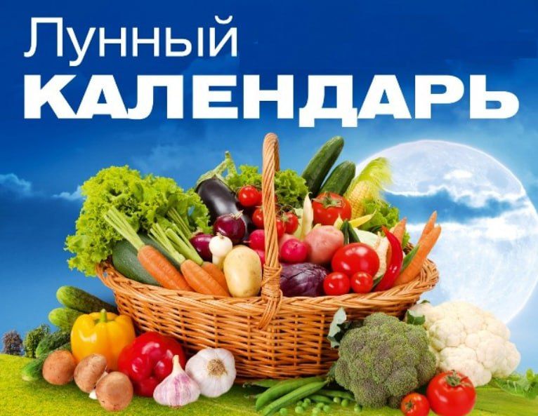 24 �������� � 28-� ������ ����