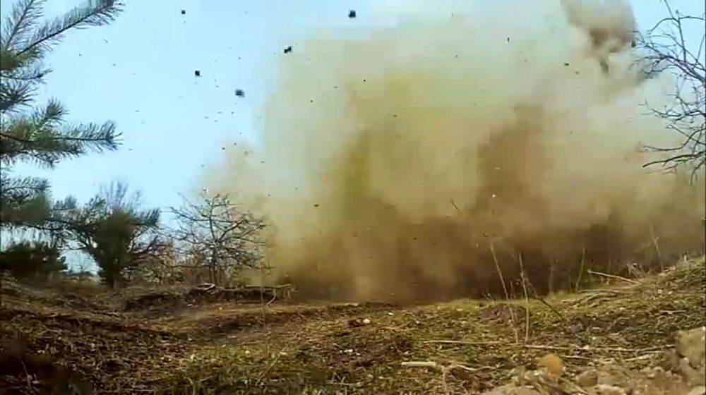 ������ ���� ����! ������� �� ���������� � ���� � ������!
