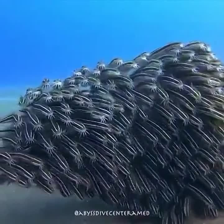 ��������� �� ��� ���� ��������� ����� ������������