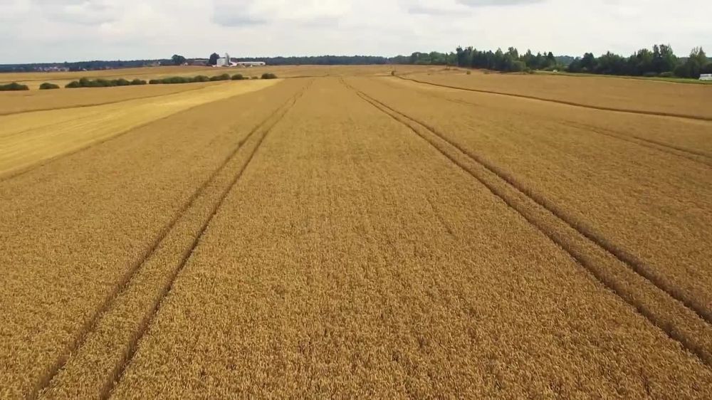 ������ ��� �����! �� ������! �� - ���� �����!