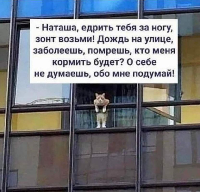 ������� ������: ����� ���� �����, �������� ������ �� ���� � ���)