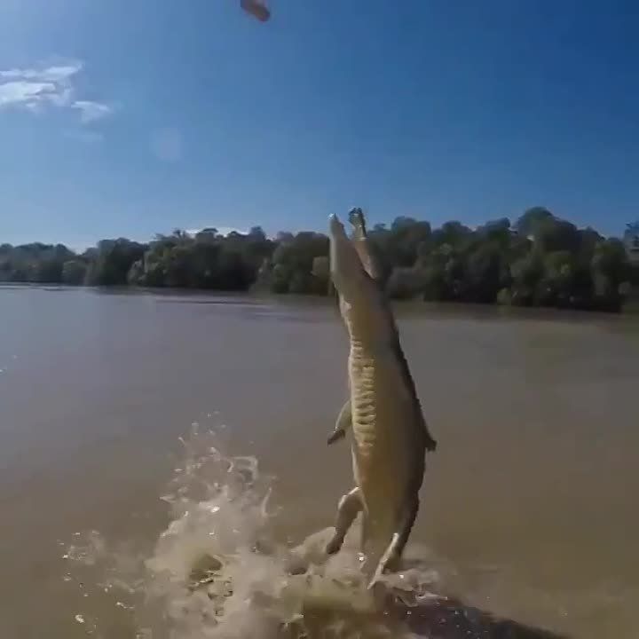 ����������� ���� ������