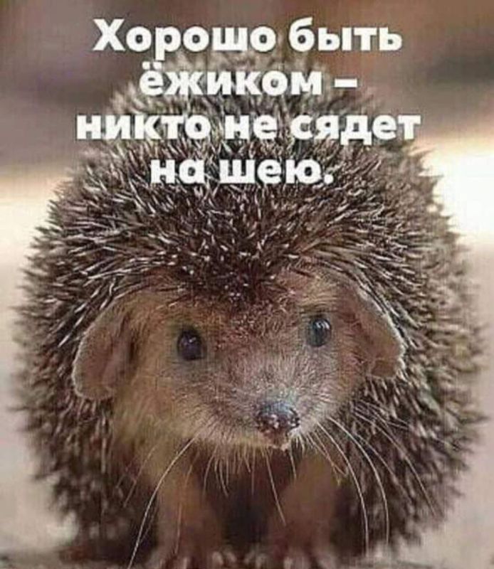 ������ �� ���� - ����� �� ����! ��������� ������!))