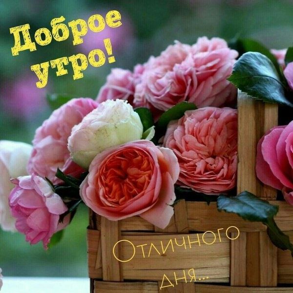 � ������ ����� ������������ ������ ���� � ������������ ������