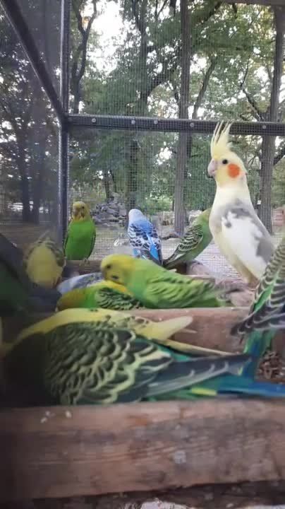 ��������� ����� ������ "������ ������" � ����� ��������