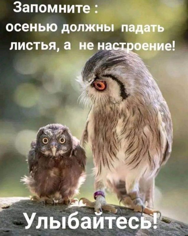 �����������, ���������, �� ������ ����������!