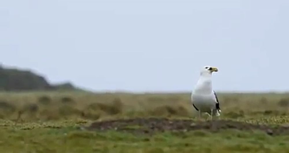 �� ���� �� �����!. ����� ���������� ������� �������. � �� ��� ����� ����������