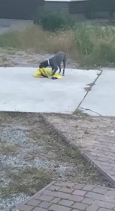 ���� ����� � ���������� �� �������� ������ ��������� � ���������� ���������