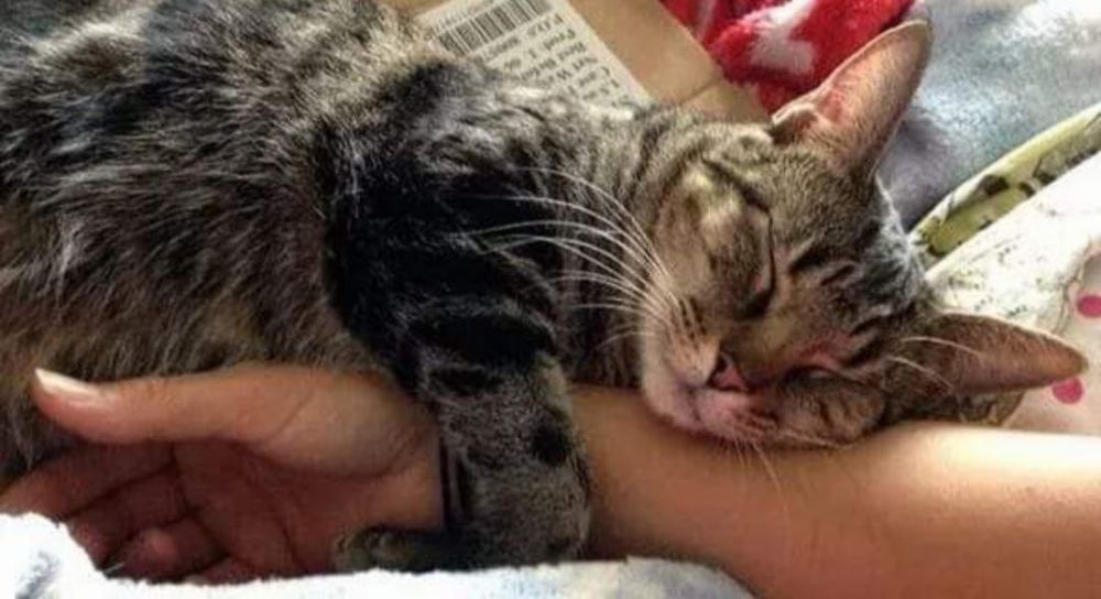 ��������� ����!