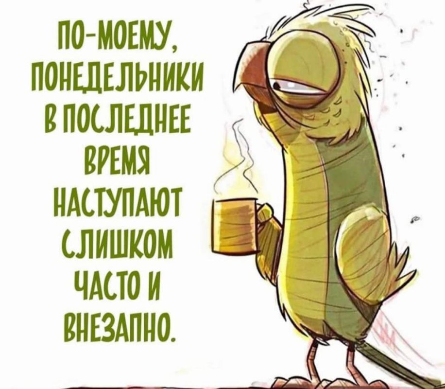 ������ - �����������, �������?)))