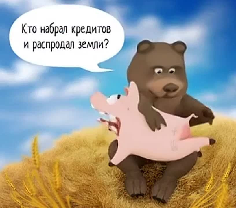 ��������� ����, ������!
