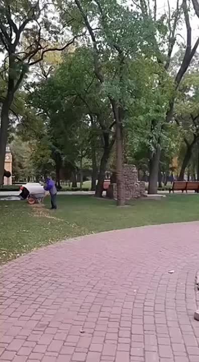 � ����� ����� �������� � ���������� ���� ��������������� ����������, �������� � ������������� ������