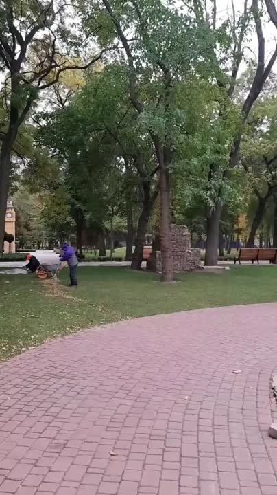 � ����� �������� ���� ��������������� ����������