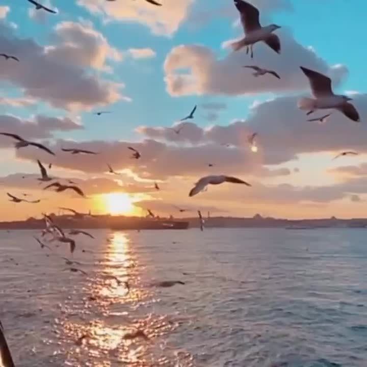 ����� ������� � ���������� �������� � ������������ � ���� �����