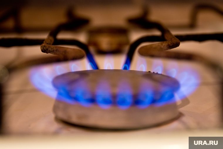 � ��������� �������������� ������ ����