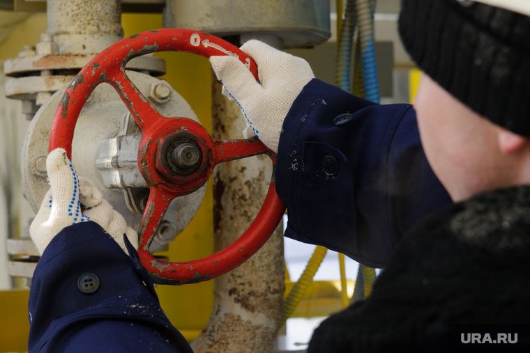 ��������: ���������� ��������� � ����������� ������������� ����� �� ����������