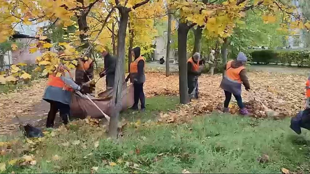 ��� "�������" �������� � ���������� ���������� ����������