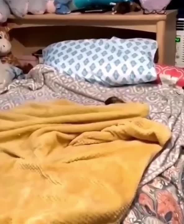 �� ���, ���� ���� �����! ������ ����� �������� ������