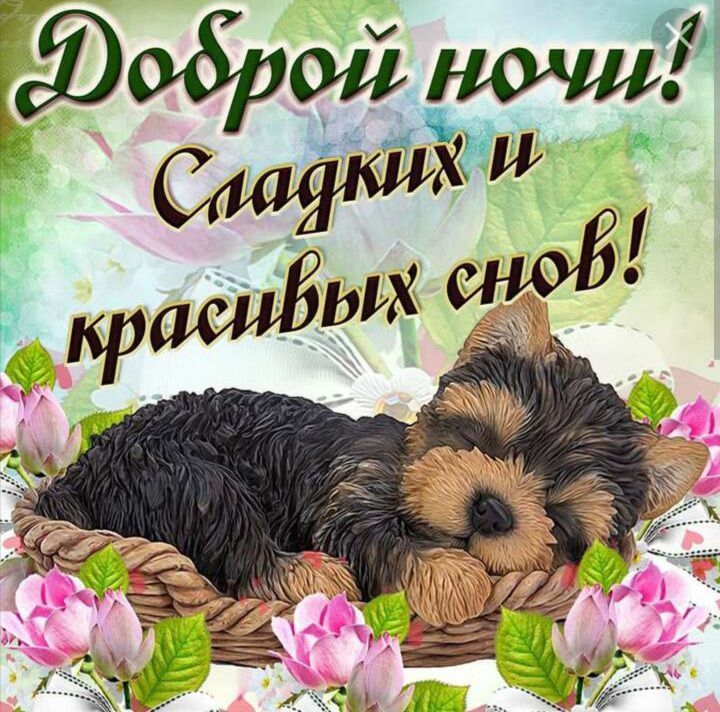 ���� �����! ������ ��� ���� ����� ����!