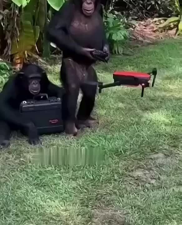 ��� �������� ��������� ������������