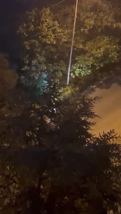 ���� �� ����� �������� �� ������������ ����������� �������� � �������