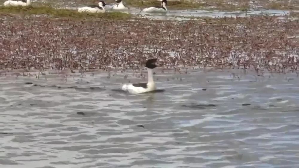� ������ ������� ������ � �����...