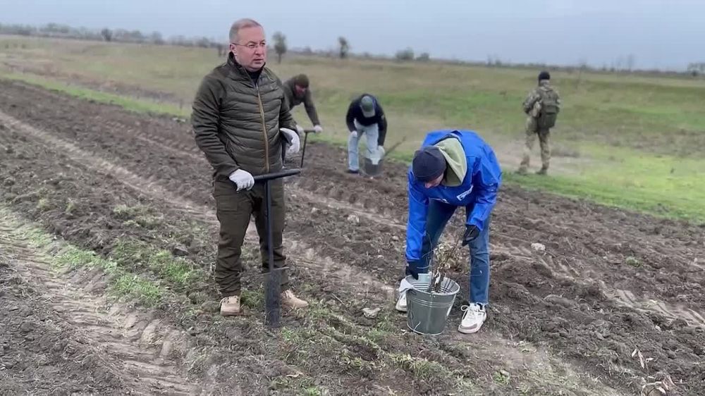 #�����������. ��� �������� ������������ �� ������� �����? ������ � ��������