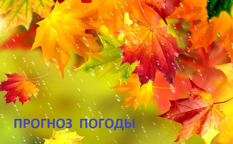�������� ��������, ��� ������� �� ���� ���������� ���������������� ������� ����� ��������