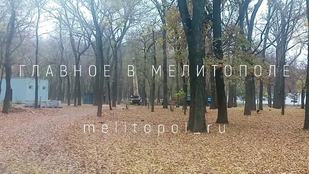 � ���������� ����� ������ ����