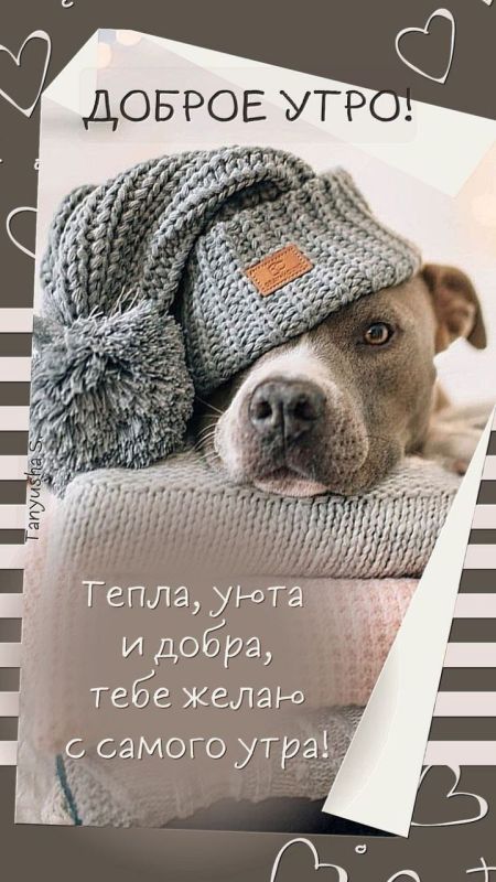 � ����� ����, ��� ����������