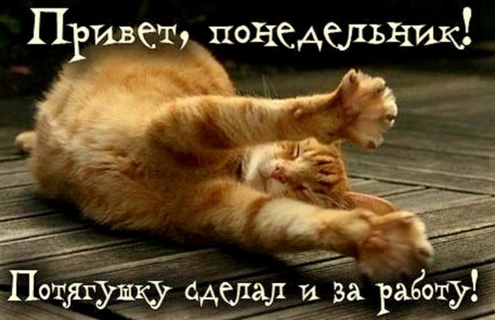 � ������ ����� ������������!