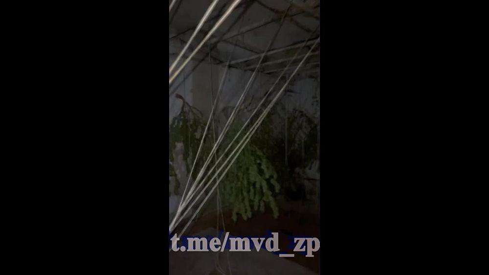 ������� ������ ���������� ������ � ������ ����������