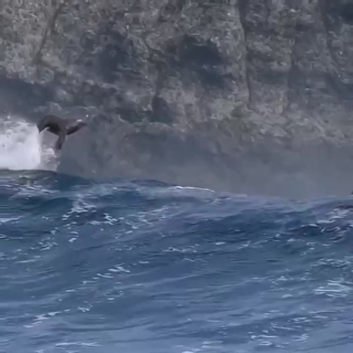 ��� ��� �������������� ������� ���� ���������� ���������!
