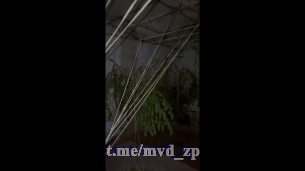 � ������ ���������� ������ ������� ������ ����������