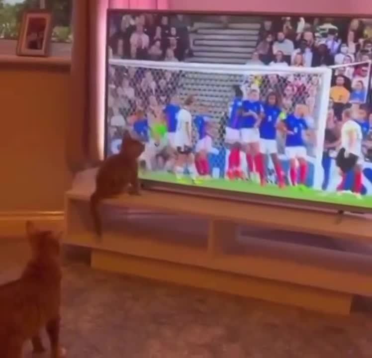 �� �������? ������� - ���� �������