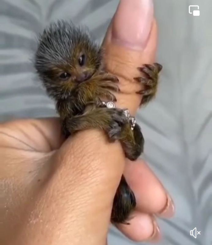 � ������������ ����� �������, ��� �� �� ������ ������� ������ ������� � �����