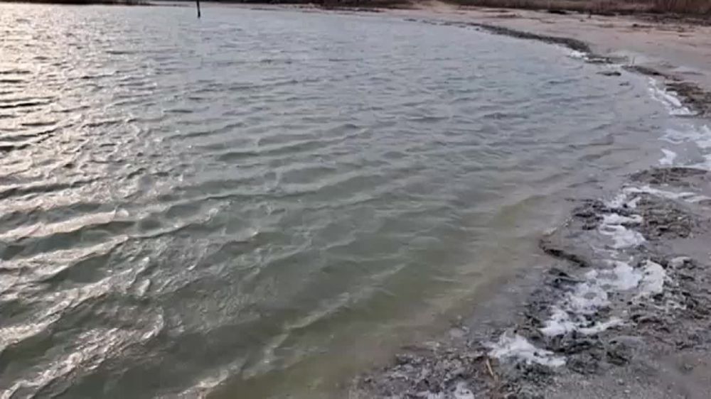 � �� �����, ��� ���� �������� ������ ������� �� ����������� ����, ��������� � ��������? �� 15 ���� �������� ����� ������� ������� ��������� ����, ������� ���������� ����������� � �������� �����, ���������� ���������� ����������� ������ ����