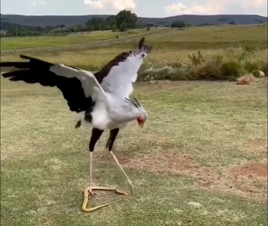 ��� ����������� ������ �������� ��������� �������� ������� �������, ��������� ����� ������� ������������, ���� ����� ������� �������� ���������� ������������� ����