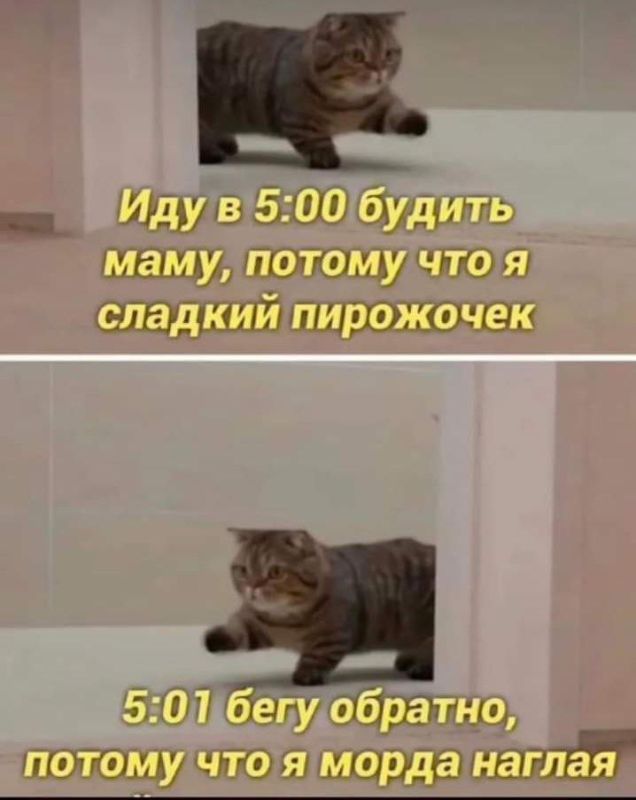 � ������ �����! � ������ �����!