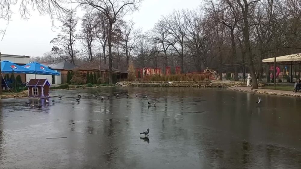 ����� � ����� �������� ���������, � ��� ���������-������,������ � ����� ��� ���������� �����������