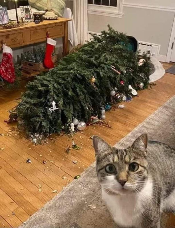 � ��� �� ������ � ��� ����� ����� �����))