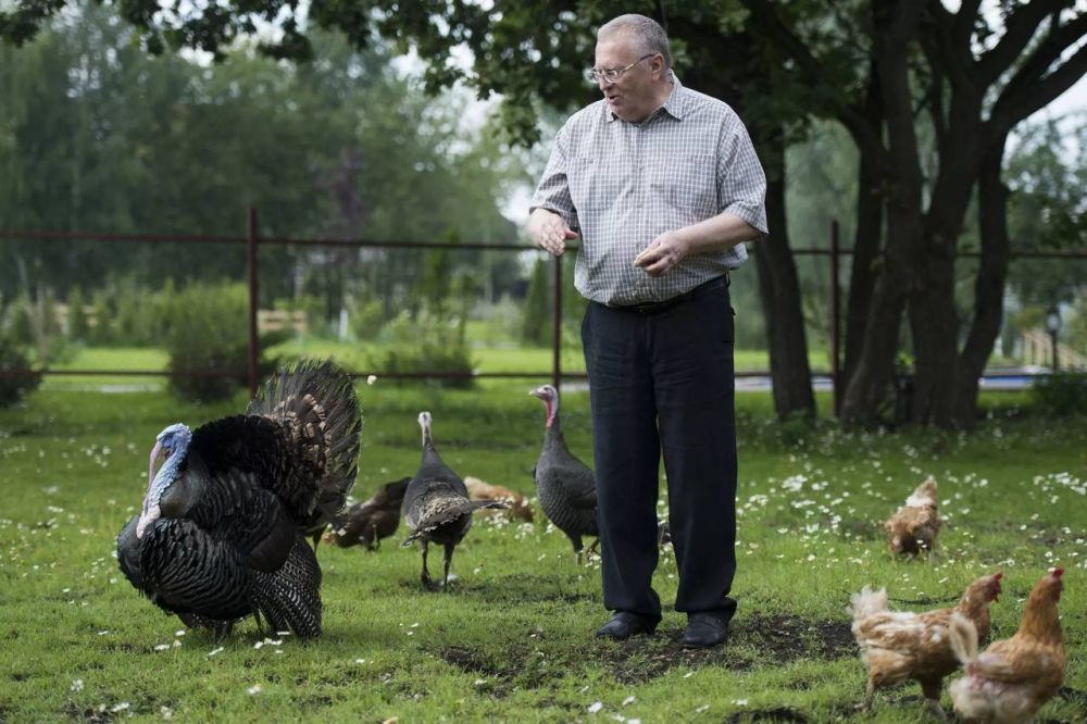 � ���� ������ ��������������� ���� �� ������������ �������� ��������� ������������ ������ "�����������" ��������...