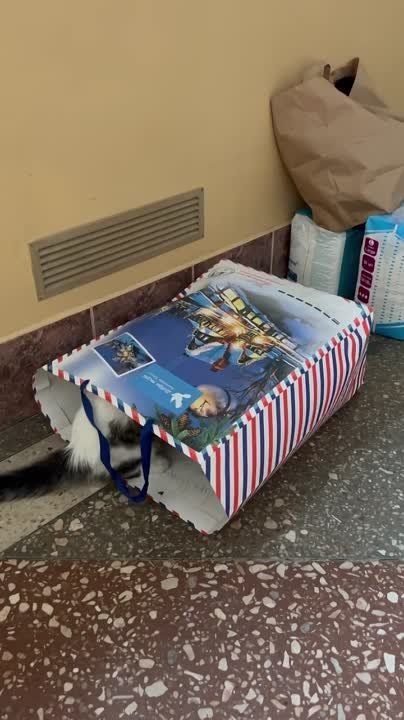 ������� ����������: ������ ����� ���� ��������� ���� �������