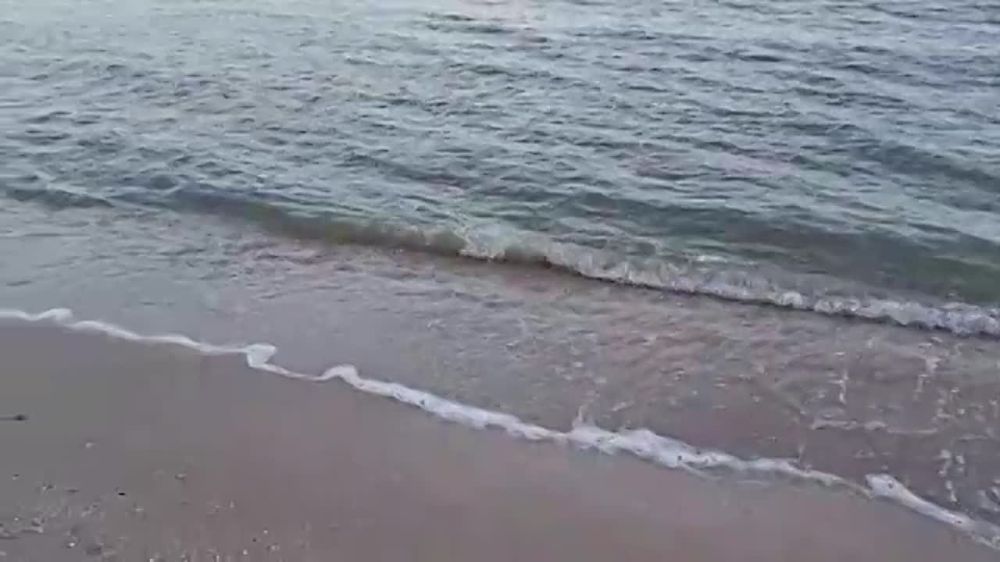 ���� ����� �� ������. ���� ������. ��� ��� ����� ������� �������� �....����� ������!