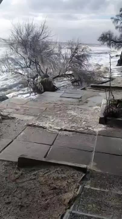 ������ ������ �� ���� ���������� ����������� �������, ������ ������ � ���� ��������, ����� �� ������ �������� � ����������