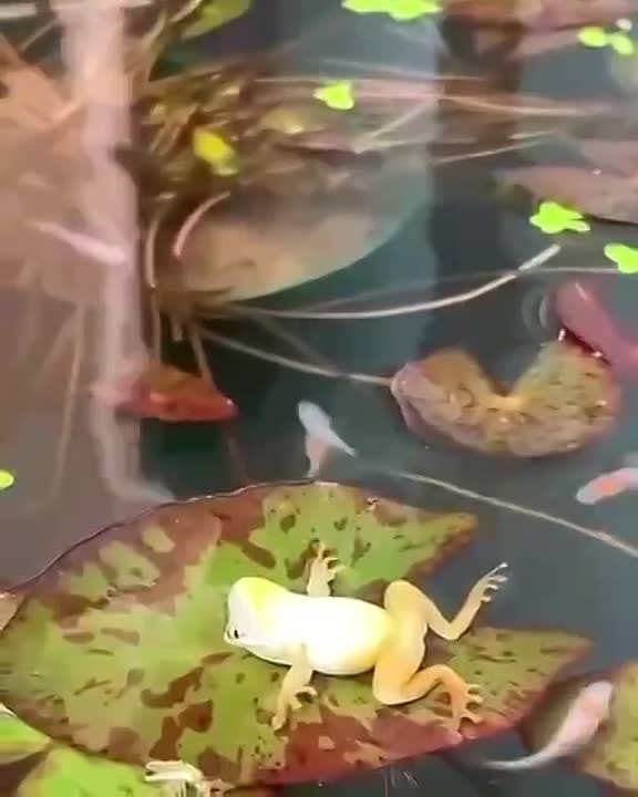 �� ������� ���, ���� �������, ��� ������ ���� ��������� ��� �����