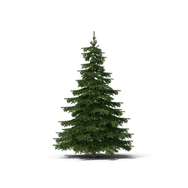 7-15 ��� �����������, ����� ��������� ����