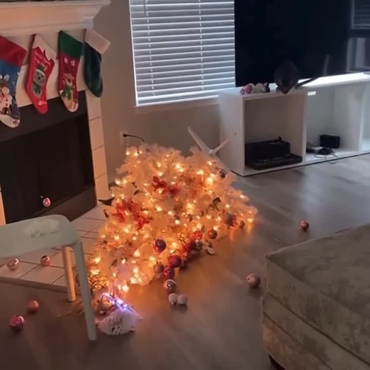 ��������� ��� ����). ��, ��� ����....