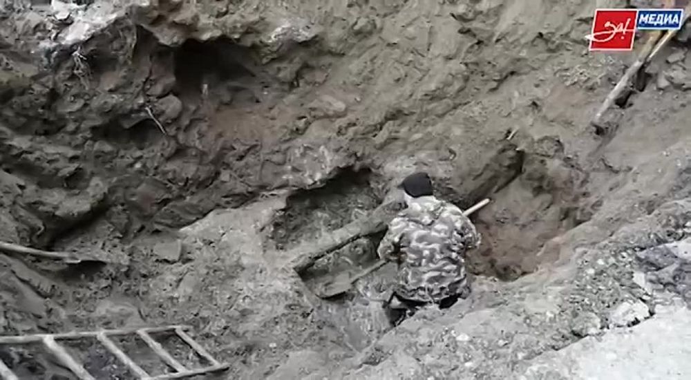 � ���������� ����� ���� ������ ��������� ������������� �����